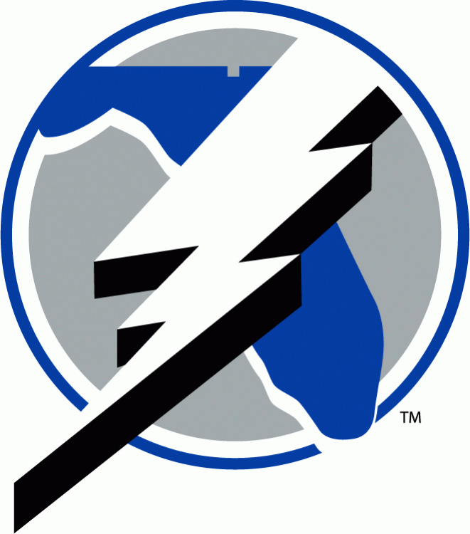 Tampa Bay Lightning 1992-2001 Alternate Logo DIY iron on transfer (heat transfer)